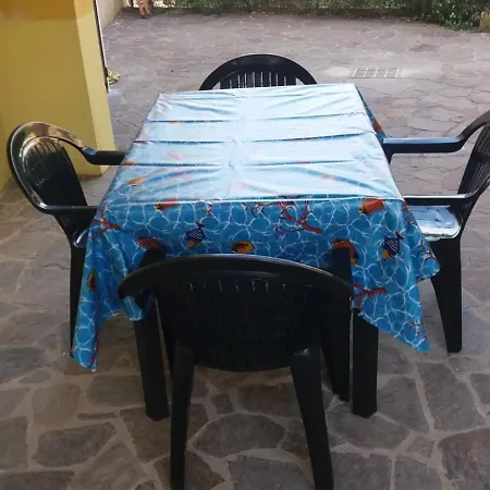 Plammas Daire *